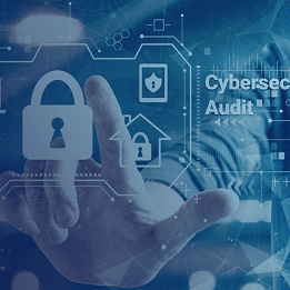 Cybersecurity Infrastructure & Audit